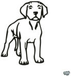 matrica. shop Argentin dog matrica 3