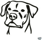 matrica. shop Argentin dog matrica 1