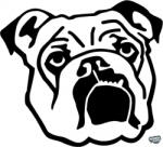 matrica. shop Angol bulldog matrica 2