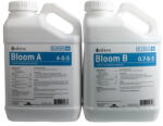 Athena Blended Bloom A&B 3.78L