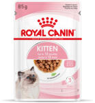 Royal Canin Kitten gravy 24x85 g