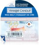 Yankee Candle Pumpkin Maple Crème Caramel ceară pentru aromatizator Signature 22 g