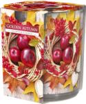 BISPOL Lumânare parfumată Bispol Aura - Golden Autumn, 120 g (sn72s-03)
