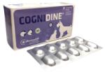  Cognidine - tablete pentru câini și pisici 60 buc
