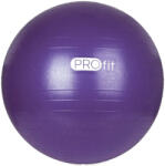PRO-Fit Erősített Gimnasztikai labda Durranásmentes 55 cm pumpával PRO-Fit Lila (MARB_P5108)