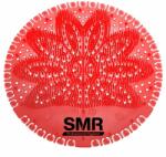 SMR Professional Hygiene Sita pisoar antistropire parfumata Tropical Scrumiera