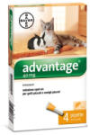 Bayer - Advantage Pipeta antiparazitara pentru pisici si iepuri 0-4 kg Advantage 40 - 1 pipeta