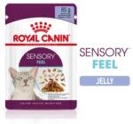 Royal Canin Sensory Feel - Hrană umedă bucăți de carne în jeleu 12 x 85 g