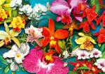 Enjoy - Puzzle Jungla de orhidee - 1 000 piese Puzzle