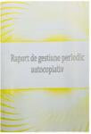 Goldpaper Raport de gestiune periodic, a4, autocopiativ, 2 exemplare, 100 file (6422575002915)