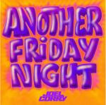 WARNER Joel Corry - Another Friday Night (1lp) (5054197745607)