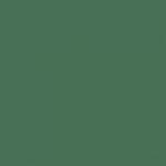d-c-fix Autocolant Verde inchis RAL 6029 mat 45 cm