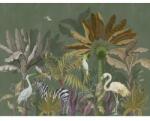 As Creation Fototapet Animale din savana