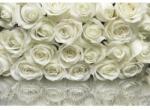 Komar Fototapet floral Trandafiri albi