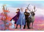 Komar Fototapet Frozen - Elsa si prietenii