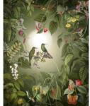 Komar Fototapet natura Pasari colibri