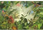 Komar Fototapet Jungla tropicala