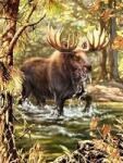 NORIMPEX - Puzzle Pictură cu diamant: Elan în râu 30x40cm - 1 - 39 piese