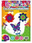 Pigna Rechizite Carton Copiator A4 As Mixt 160g 12 Cul 24/top Colour Kids Pigna