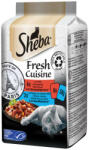 Sheba Mini 6x50g Paris DE36L / DR56E