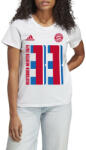 adidas Tricou adidas FC Bayern Munchen Meister T-shirt 2023 W ix5246 Marime L (ix5246)