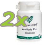  Armillaria Plus 450 mg 2x60 db