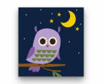  Éjszakai Bagoly - gyerek számfestő készlet