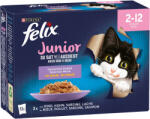 FELIX Fantastic Junior Mixed Selection in aspic 48x85 g