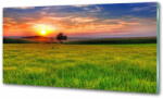 Wallmuralia. hu Konyhapanel Sunset meadow 140x70 cm