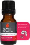 Soil Ulei Esential muscata-trandafir Pur 100% Organic, 10ml, Soil