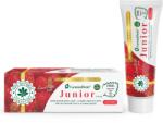 Viva Natura Pasta de dinti cu capsuni GennaDent Junior, 50ml, VivaNatura