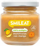 Smileat Piure din mix de fructe Bio +6 luni, 130g, Smileat