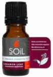 Soil Ulei Esential Scortisoara (Cinnamomum zeylanicum) 100% Organic Ecocert, 10ml, Soil