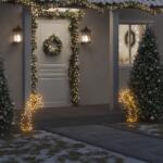 vidaXL karácsonyi hullócsillag fénydekoráció cövekkel 80 LED 62 cm (357722)