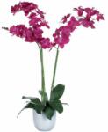 Vepabins Lepkeorchidea műnövény, zöld lila, magasság: 100 cm