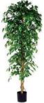 Vepabins Kislevelű fikusz műnövény, zöld, magasság: 210 cm