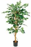 Vepabins Kislevelű fikusz műnövény, zöld, magasság: 150 cm