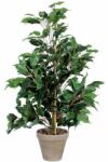 Vepabins Exotica kislevelű fikusz műnövény, zöld, magasság: 65 cm