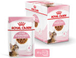 Royal Canin Kitten Sterilised Gravy - Ivartalanított kölyök macska szószos nedves táp (12 x 85 g) 1.02 kg