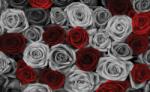  Fotótapéta rózsák piros-szürke XL (83760)