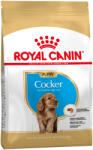 Royal Canin Royal Canin Breed Cocker Puppy - Pachet economic: 2 x 3 kg