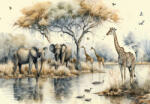 Consalnet Rajzolt afrikai állatok poszter, fotótapéta Vlies (152, 5 x 104 cm) (C1-14571VEL)
