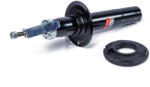 HARTWINN amortizor HARTWINN 31.313363HRT (31.313363HRT)