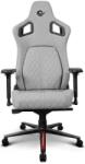 ArenaRacer Craftsman 360 light grey