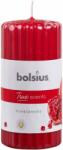 Bolsius Pomegranate 6 pcs (428072)
