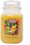 Yankee Candle Tropical Starfruit 623 g