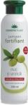 Cosmetic Plant Cosmetic Plant sampon fortifiant cu nuc si urzica 250 ml