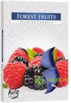 BISPOL Set Lumanari Tip Pastila Aroma Fructe de Padure 6 buc