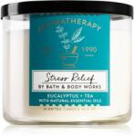 Bath & Body Works Eucalyptus & Tea 411 g
