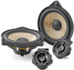 Focal IS T3Y 100 Tesla